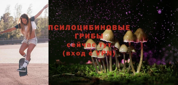 герыч Дмитровск