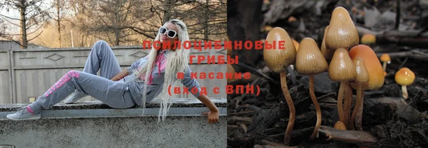 ECSTASY Дмитров