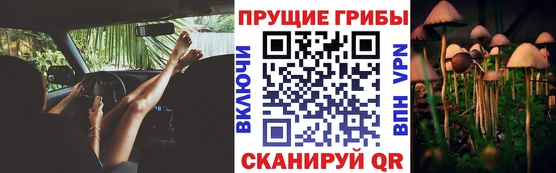 Галлюциногенные грибы MAGIC MUSHROOMS  цена наркотик  Вязьма 